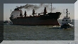 lisbon300036_RT16.jpg