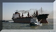 lisbon300037_RT16.jpg