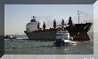 lisbon300038_RT16.jpg