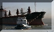 lisbon300041_RT16.jpg