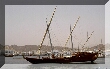 royaldhow6.jpg