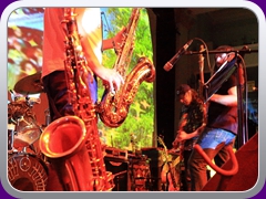 Hawkwind201