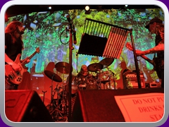 Hawkwind235
