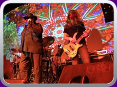 Hawkwind271