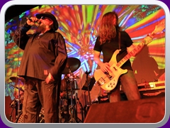 Hawkwind276