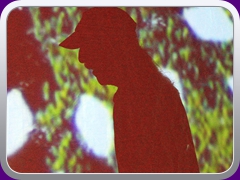 Hawkwind392