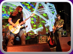 Hawkwind413