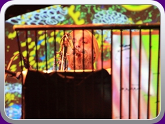 Hawkwind420