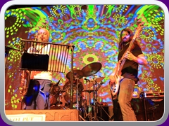 Hawkwind424
