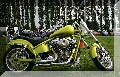 IMG_2239.jpg