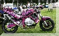 IMG_2240.jpg