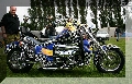 IMG_2241.jpg