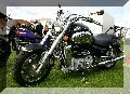 IMG_2261.jpg