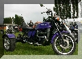 IMG_2262.jpg