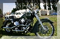 IMG_2267.jpg