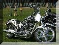 IMG_6311.jpg