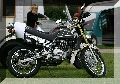 IMG_6317.jpg