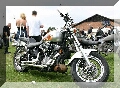 IMG_6328.jpg