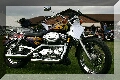 IMG_6331.jpg
