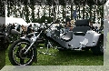 IMG_6335.jpg