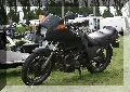 IMG_6339.jpg
