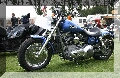 IMG_6350.jpg