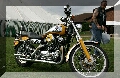 IMG_6352.jpg
