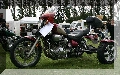IMG_6353.jpg