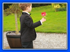 Wedding223