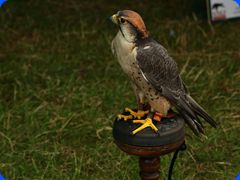 Withernwick0050