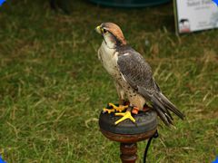 Withernwick0051