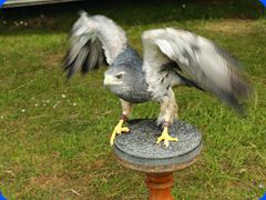 Withernwick0086