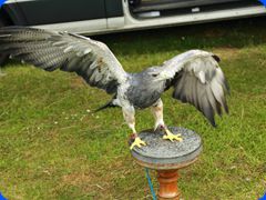 Withernwick0088