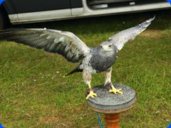 Withernwick0089