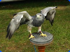 Withernwick0090