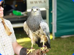 Withernwick0101