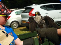 Withernwick0105
