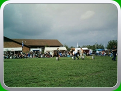 IMAG0871