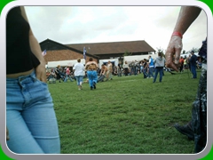 IMAG0880
